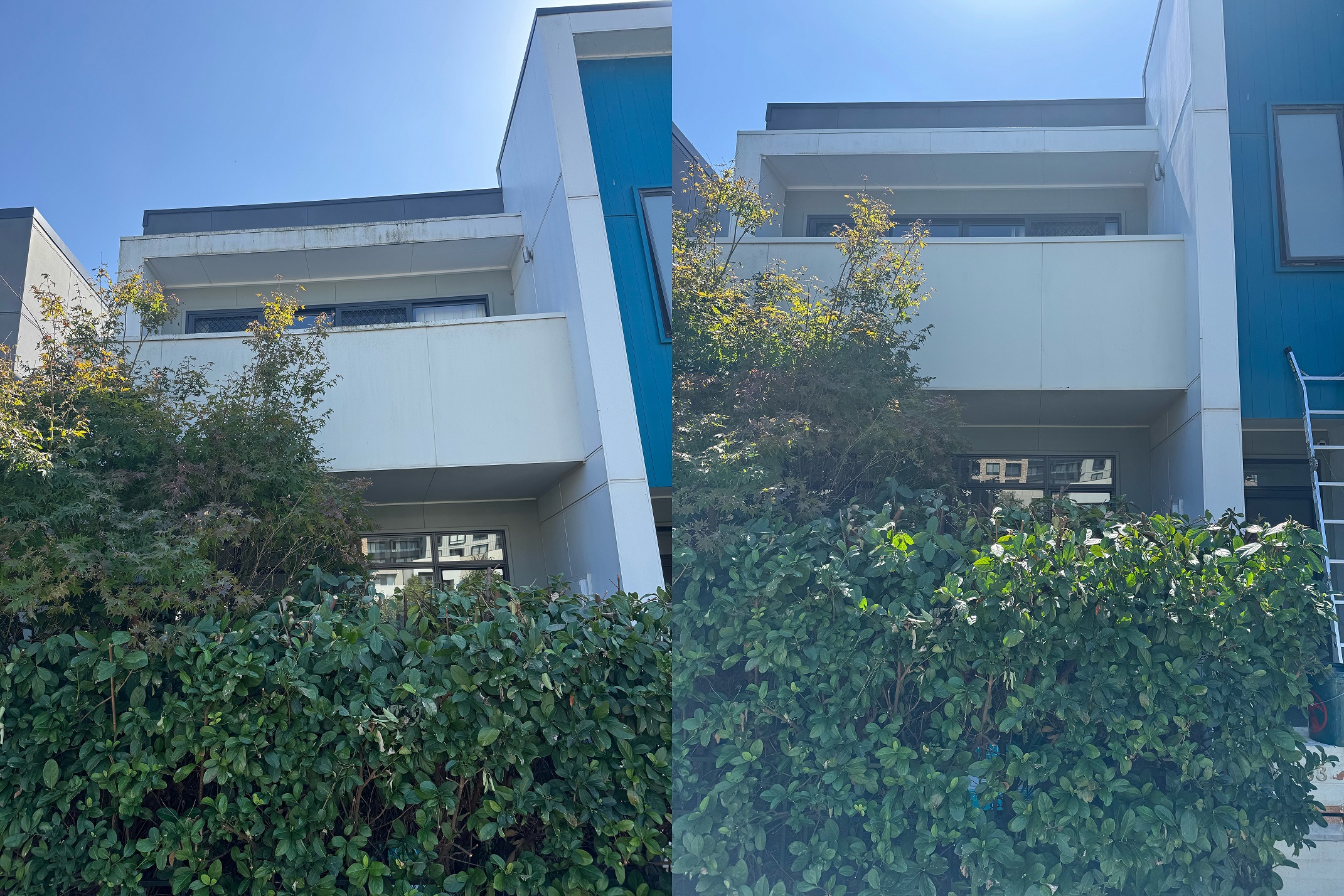 Fresh clean fence restoration after pressure washing